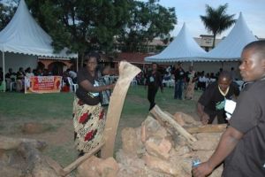 16days_2012_146_20131118_1126902905