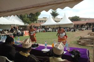 1_16days_2012_66_20131118_2001317893