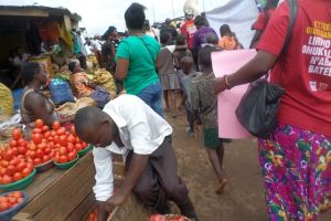 SAMSUNG CAMERA PICTURES SAMSUNG CAMERA PICTURES